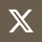 X icon